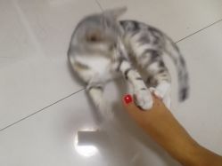 -Beauty Nails 美甲美睫皮肤管理