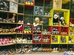 -Behring World of Animals(上海自然博物馆店)