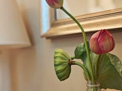 -福建鲤鱼洲酒店