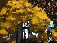 -春暖花开(西溪店)