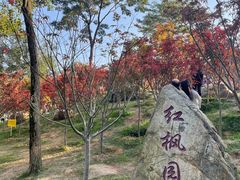 -广州市帽峰山景区