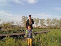 -永定河休闲森林公园