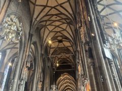 -斯蒂芬主教座堂(Stephansdom)