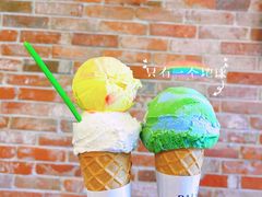 燕麦地球-Dal Cuore 达可芮冰淇淋(陕西北路店)