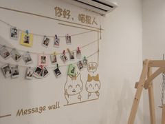-楼上猫咖(罗湖店)