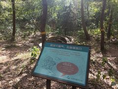 -北京西山国家森林公园