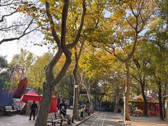 -中山公园