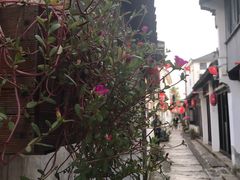 -张家港凤凰山景区恬庄古街