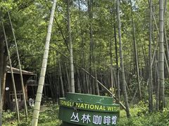 -同里国家湿地公园