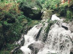 -藏龙百瀑风景区