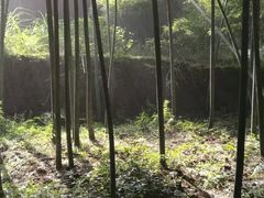 -会稽山峡洞漂流-上青古道