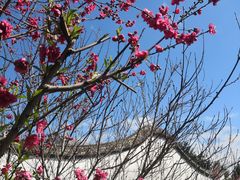 -乌山风景区
