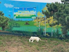 -西霞口神雕山野生动物世界