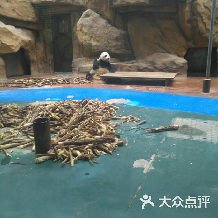 成都動物園