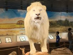 -陕西自然博物馆