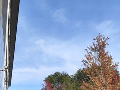 -北京大学-燕南食堂