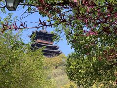 -杭州半山国家森林公园