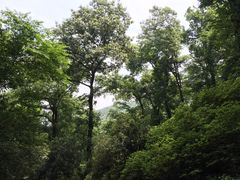 -南山风景名胜区