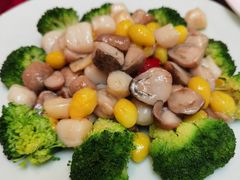 五彩炒鲜贝-西新饭店(城中店)
