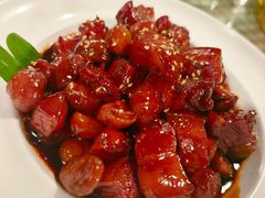 -京北渔家傲
