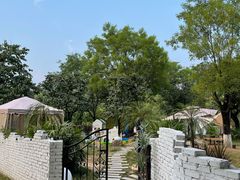 门面-Supine Bistro溯泮餐厅