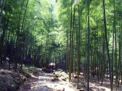 景点-众神白水涧景区