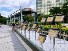 -星光大道