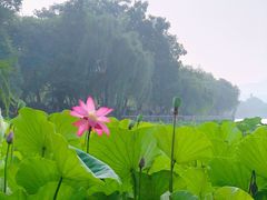 -云龙湖旅游景区