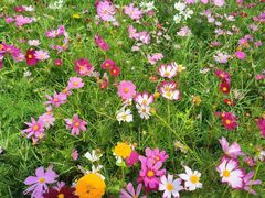 -三亚南山文化旅游区