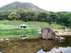 -广州市石门国家森林公园
