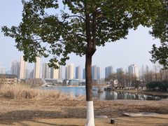 -洋湖国家湿地公园