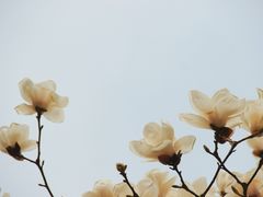 -睦南公园