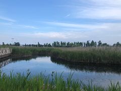 -鹦鹉洲湿地公园