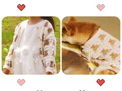 -逗柴咖啡屋·狗咖猫咖宠物桌游
