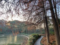 -黄兴公园