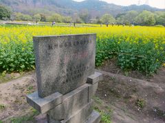 -八卦田遗址公园