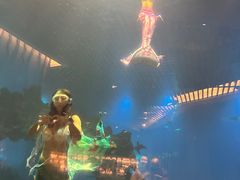 -涛·海底餐厅·美人鱼·自助餐·海底隧道(三亚海棠湾洲际度假酒店)