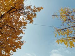 -百林公园-两江幸福广场