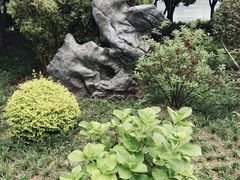 -宝岛公园