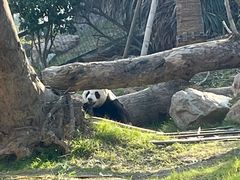 -宁波野生动物园