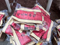 -西双版纳原始森林公园
