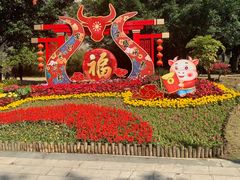 -金鸡山公园