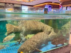 -聚福宝合苑食府(南头镇店)