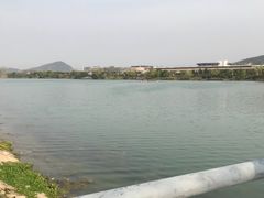 -羊山湖公园