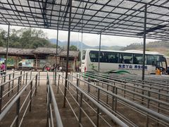 -大余丫山旅游度假区