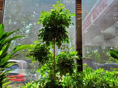 -大连铂尔曼酒店-铂尔曼美食廊 Pullman Deli