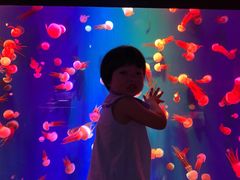 -成都浩海立方海洋公园