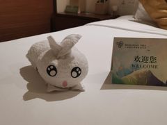 -三亚湾红树林度假世界(木棉酒店)