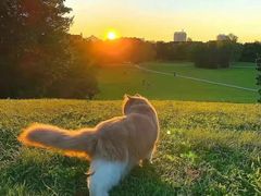 -塔斯汀中国汉堡(花都桂花路店)