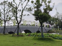 -陶辛水韵